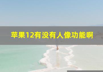 苹果12有没有人像功能啊