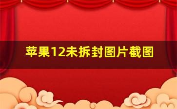 苹果12未拆封图片截图