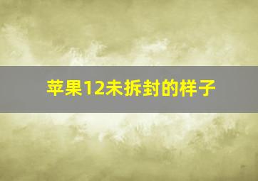 苹果12未拆封的样子