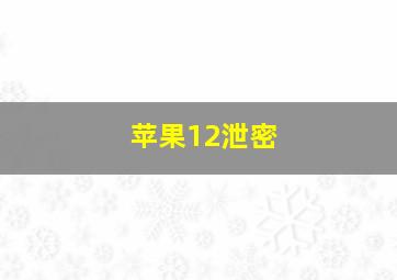 苹果12泄密