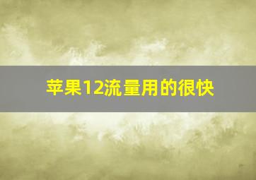 苹果12流量用的很快