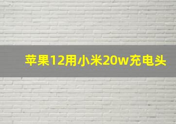 苹果12用小米20w充电头