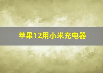 苹果12用小米充电器