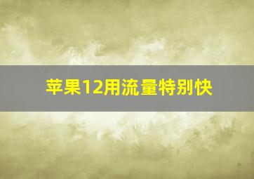 苹果12用流量特别快