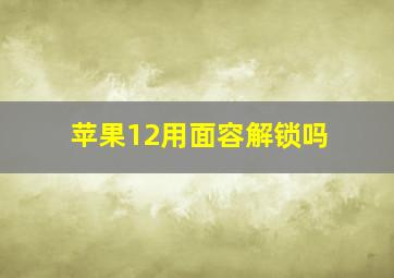 苹果12用面容解锁吗