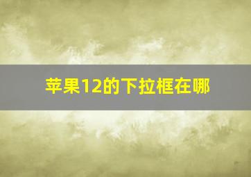 苹果12的下拉框在哪