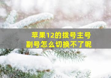 苹果12的拨号主号副号怎么切换不了呢