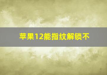 苹果12能指纹解锁不