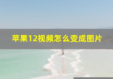 苹果12视频怎么变成图片