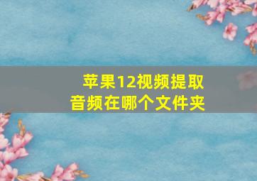 苹果12视频提取音频在哪个文件夹