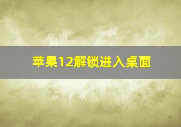 苹果12解锁进入桌面