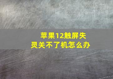 苹果12触屏失灵关不了机怎么办