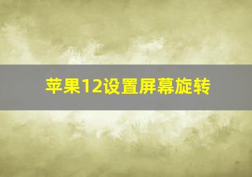 苹果12设置屏幕旋转