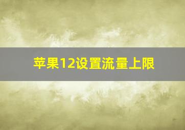 苹果12设置流量上限