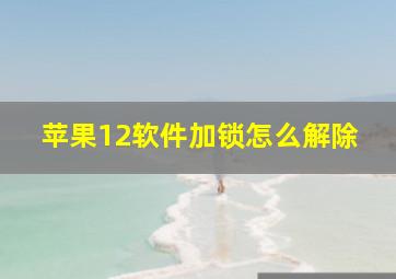 苹果12软件加锁怎么解除