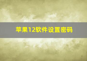 苹果12软件设置密码