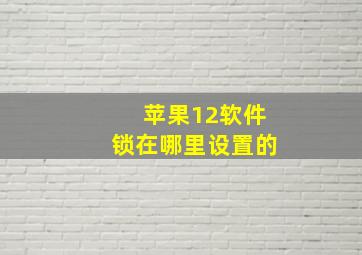 苹果12软件锁在哪里设置的