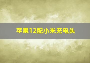 苹果12配小米充电头