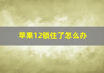 苹果12锁住了怎么办