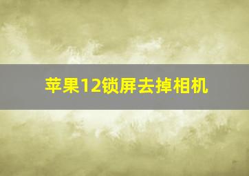 苹果12锁屏去掉相机