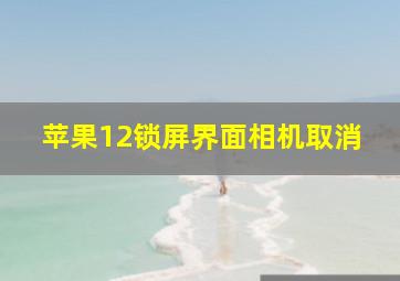 苹果12锁屏界面相机取消