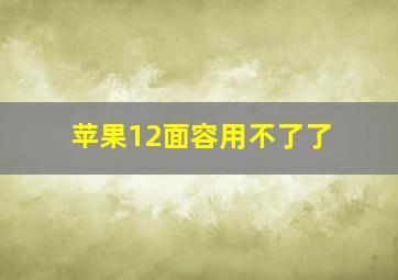 苹果12面容用不了了