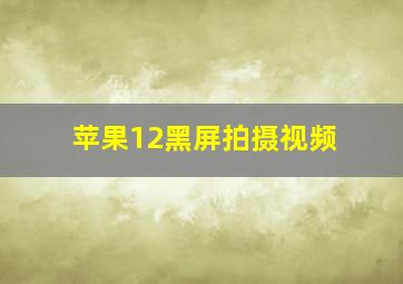 苹果12黑屏拍摄视频