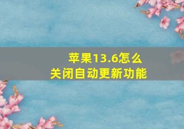 苹果13.6怎么关闭自动更新功能