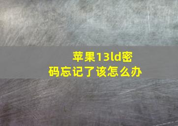 苹果13ld密码忘记了该怎么办