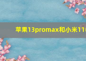 苹果13promax和小米11u