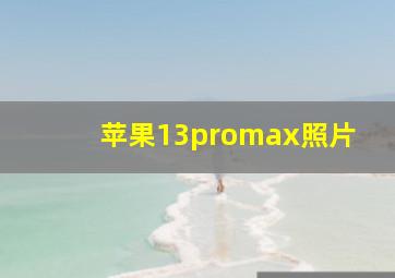 苹果13promax照片