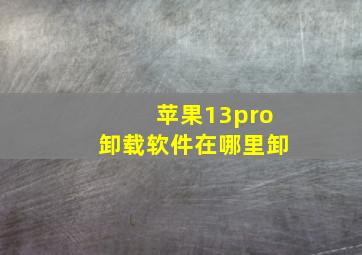 苹果13pro卸载软件在哪里卸