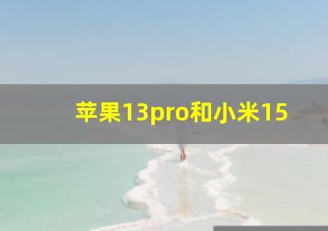 苹果13pro和小米15