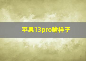 苹果13pro啥样子