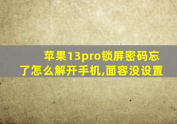 苹果13pro锁屏密码忘了怎么解开手机,面容没设置