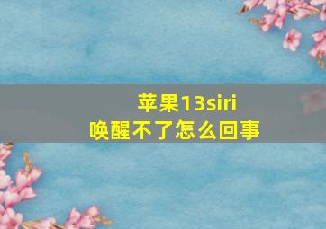 苹果13siri唤醒不了怎么回事