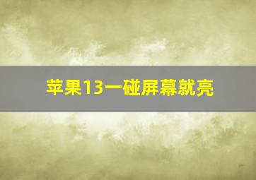 苹果13一碰屏幕就亮