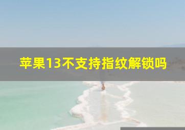 苹果13不支持指纹解锁吗