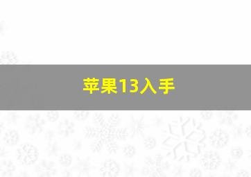 苹果13入手