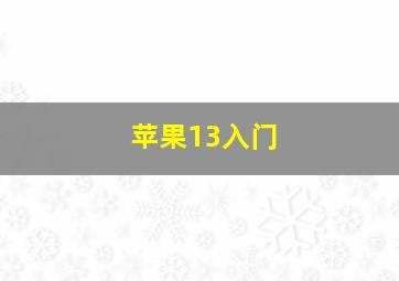 苹果13入门