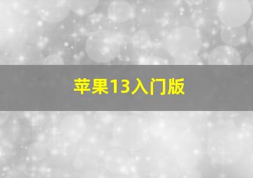 苹果13入门版