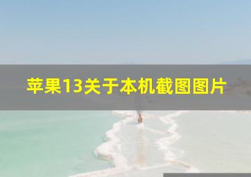 苹果13关于本机截图图片