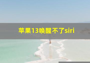 苹果13唤醒不了siri