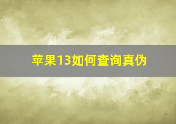 苹果13如何查询真伪