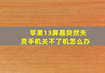 苹果13屏幕突然失灵手机关不了机怎么办