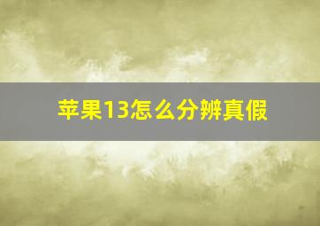 苹果13怎么分辨真假