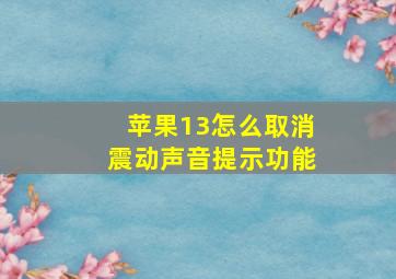 苹果13怎么取消震动声音提示功能