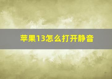 苹果13怎么打开静音