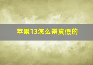 苹果13怎么辩真假的