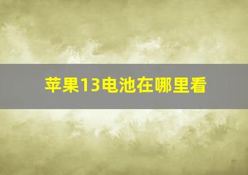 苹果13电池在哪里看